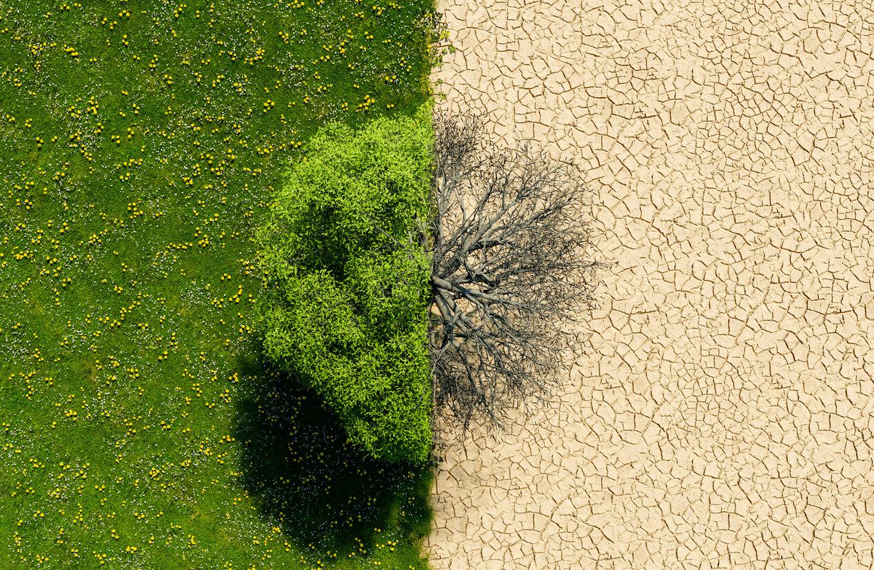 cpd-IFRS-Lab-greenhouse-effect