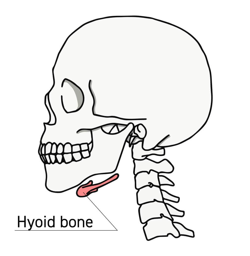 cpd-AIFiMM-Formazione-Assessment-of-hyoid-bone