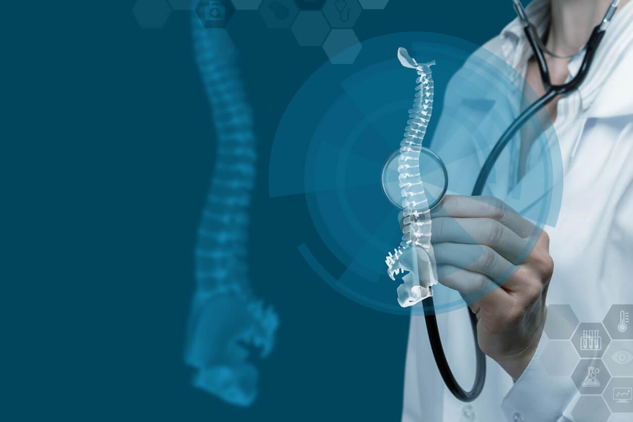 cpd-AIFiMM-Formazione-Assessment-vertebral-column