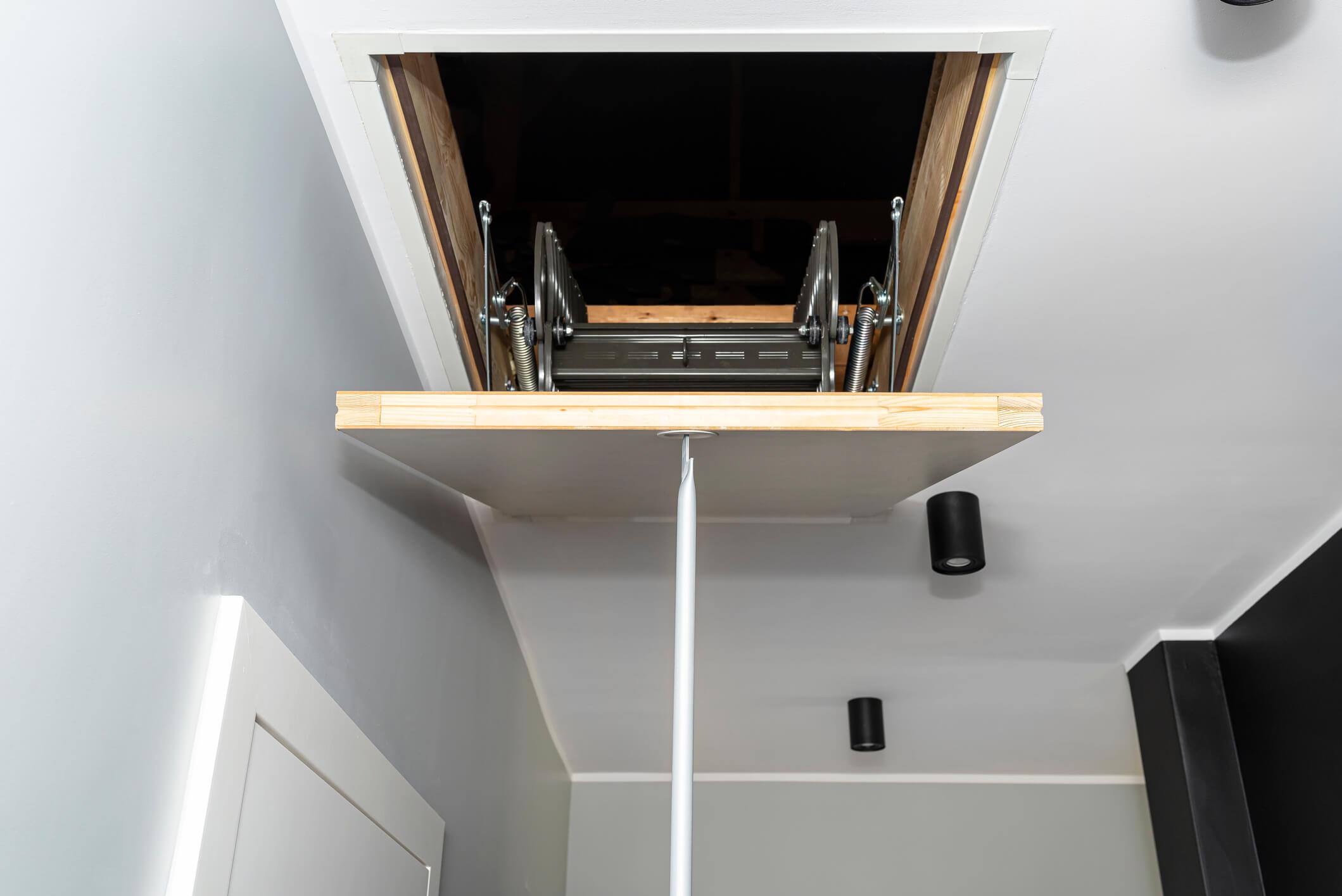 Ladder to gain roof access