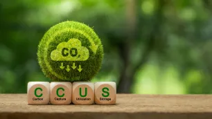 Carbon Capture, Utilization, and Storage: An Overview