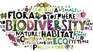 cpd-IFRS-Lab-why-biodiversity-credits-matter