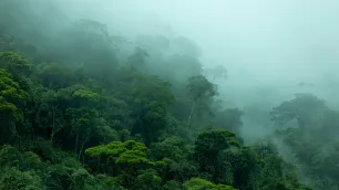 Safeguarding the Amazon’s Hydrological Engine: Climate Change, Forest Loss, and Water System Disruption