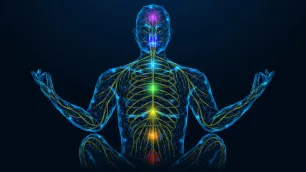 Breath, Stress and Nervous System Regulation