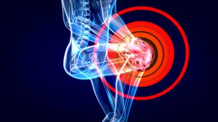 Biomechanical Analysis of the Lower Limb - Part 1: Vectorial Dominances of the Hip and Knee