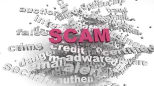 The rise of adaptive scam domains
