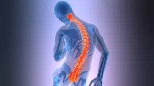 Clinical Reasoning in Musculoskeletal Biomechanics - Part 1: The Four Constants and Differential Diagnosis