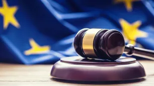 A Warning No One Can Read: The Fair, Clear and Not Misleading Standard After the AFM's Lynx Decision