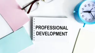Cultivating the Cross-Disciplinary Mindset in Professional Development