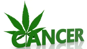 Medical cannabis for cancer-related treatment side effects and secondary symptoms: assessing the current evidence