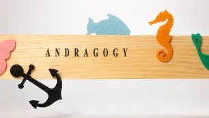 Modern Andragogy: Structuring Non-Formal and Informal CPD
