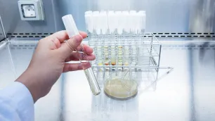 Stability Testing and Shelf-Life Determination: An Introduction to ICH Q1