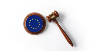 Understanding the EU Cosmetics Regulation: Key Obligations for Responsible Persons