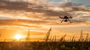What is a UXO survey?