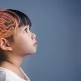 Understanding the Child’s Brain: A Gentle Guide to Behaviour and Regulation