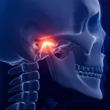 TMJ Biomechanical Analysis – Part 1: Systemic Relationships, Hyoid Function and Dental Influence