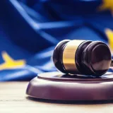 A Warning No One Can Read: The Fair, Clear and Not Misleading Standard After the AFM's Lynx Decision