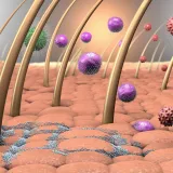 Supporting skin barrier by including probiotic in skincare products designed for inflammatory skin conditions
