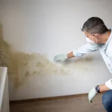 Accurate diagnosis: The key to damp remediation
