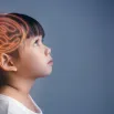 cpd-Mind-Tools-for-Kids-Understanding-Child's-Brain