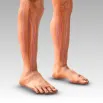 cpd-AIFiMM-Formazione-Biomechanical-Analysis-of-Lower-Limb-Part-2