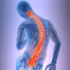 cpd-AIFiMM-Formazione-Clinical-Reasoning-Musculoskeletal-Biomechanics-Part-1
