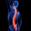 cpd-AIFiMM-Formazione-Clinical-Reasoning-Musculoskeletal-Biomechanics-Part-2