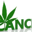 cpd-Releaf-Medical-cannabis-for-cancer-related-treatment