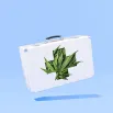 cpd-Releaf-Travelling-with-prescribed-medical-cannabis